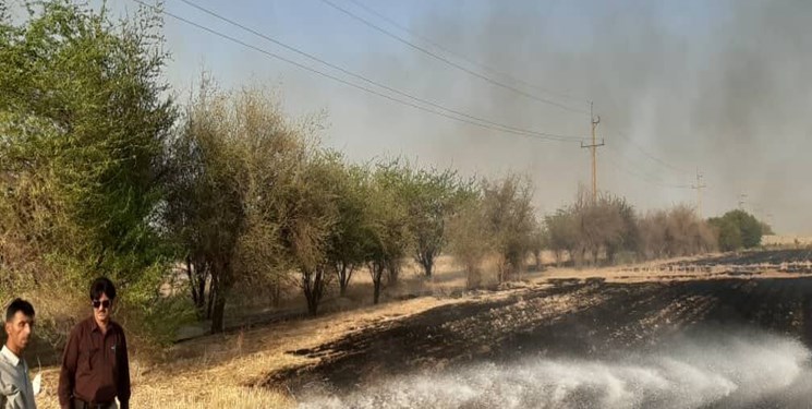 خسارت جبران ناپذیر آتش‌زدن مزارع به محیط زیست