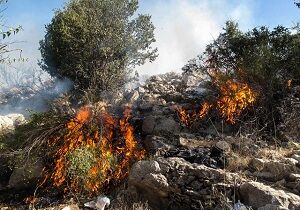 کاهش ۸۷ درصدی آتش سوزی‌ها در پارک ملی دز