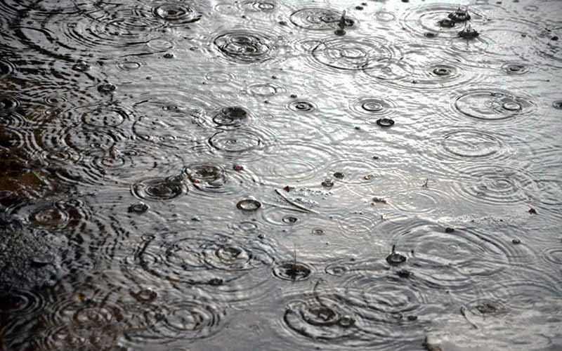 نگرانی از بارش زودهنگام باران در پاییز