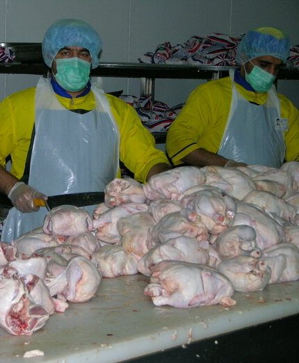 تخلف یک کشتارگاه عامل گرانی مرغ در بازار اهواز