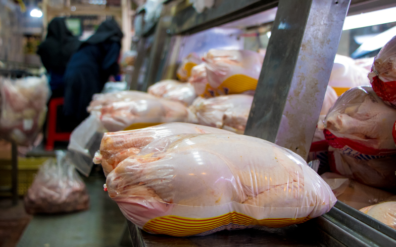 قیمت مرغ در خوزستان رو به کاهش است