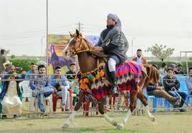 اسب خوزستان گمشده ای در گرد و غبار