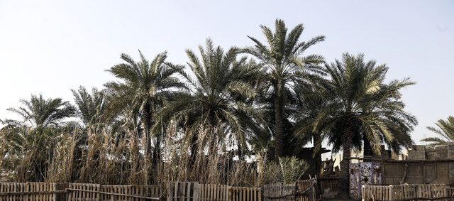 تالاب‌های خوزستان، از خشکسالی تا آبگیری