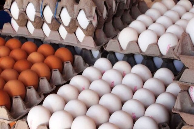 ممنوعیت فروش تخم‌مرغ “فله‌ای” فعلا منتفی است
