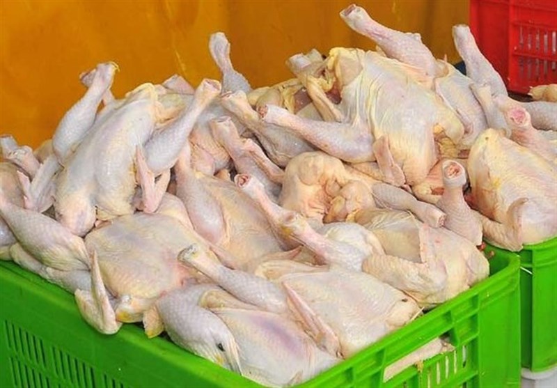 روزانه ۳۵۰ تن گوشت مرغ در خوزستان تولید می‌شود