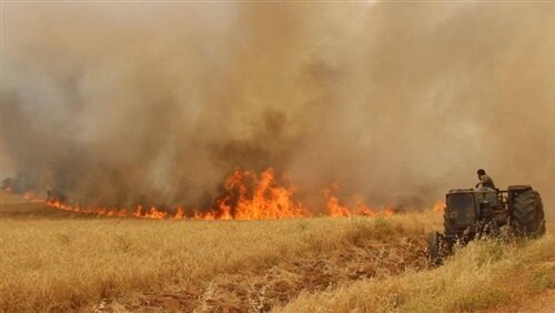 چرا کشاورزان، مزارع را آتش می‌زنند؟