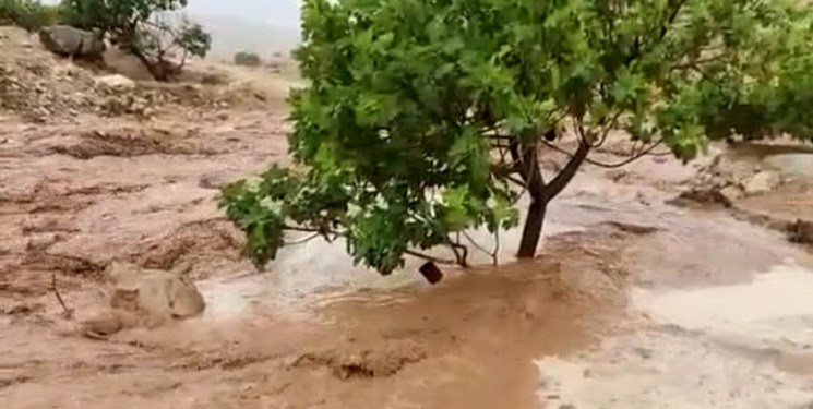 سیل آب ۲۵ روستای بخش سوسن ایذه را قطع کرد/مفقود شدن یک کودک در سیلاب ایذه